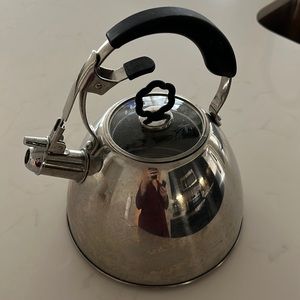 PRINCESS HOUSE HERITAGE STAINLESS STEEL KETTLE